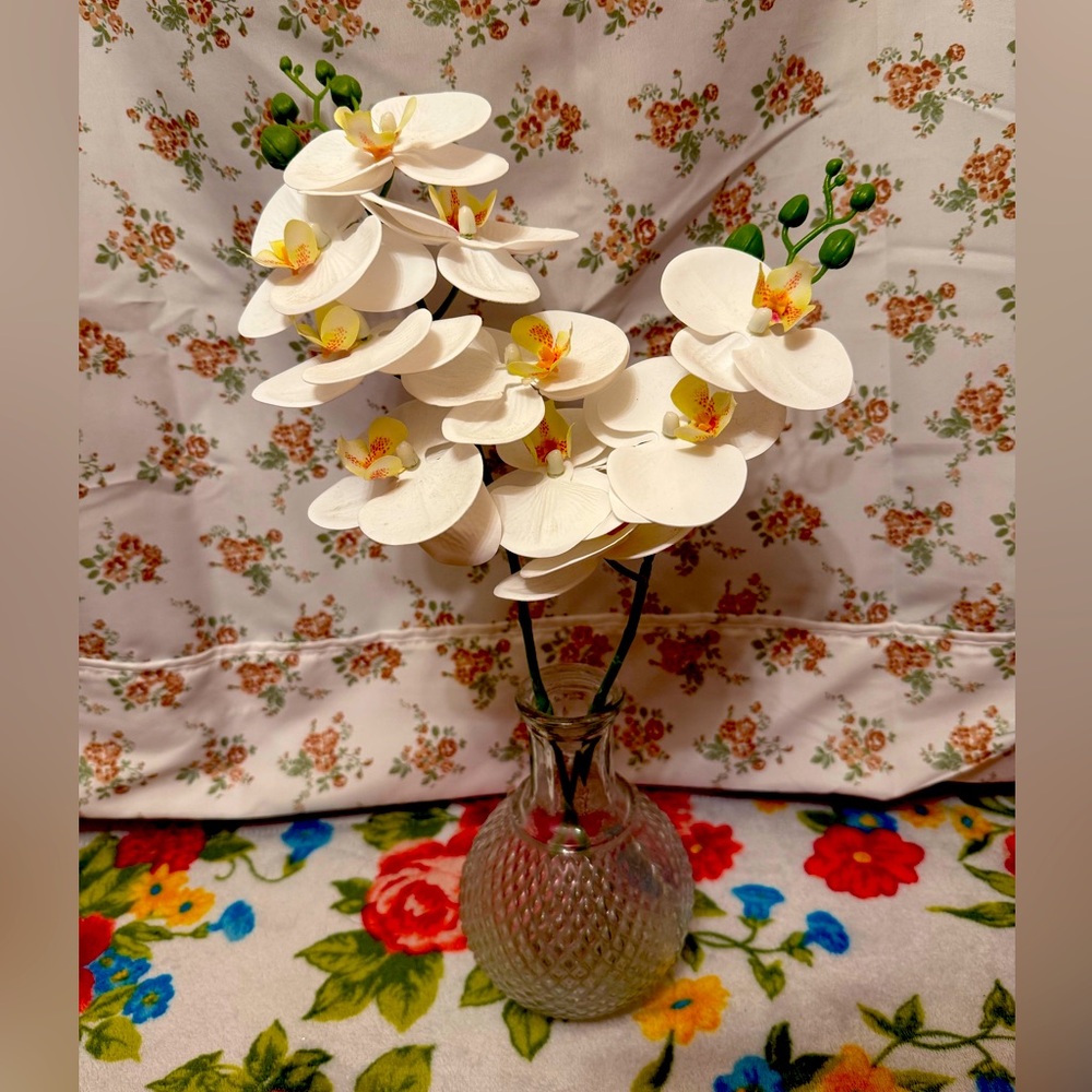 Elegant White Orchid Arrangement in Glass Vase